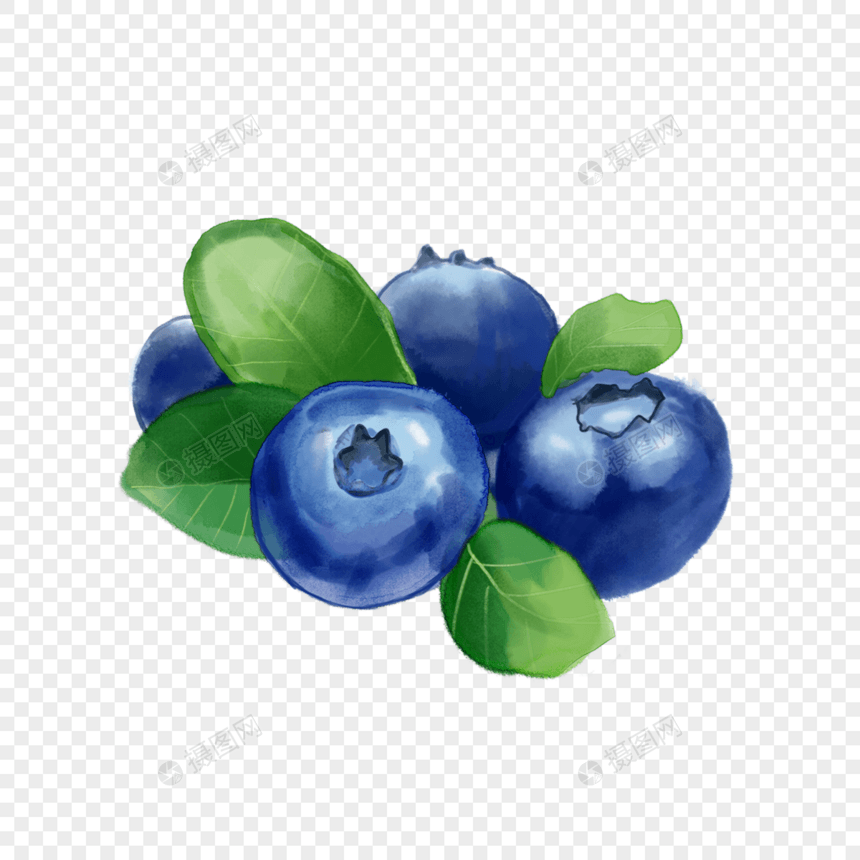 水彩风格水果蓝莓插画图片