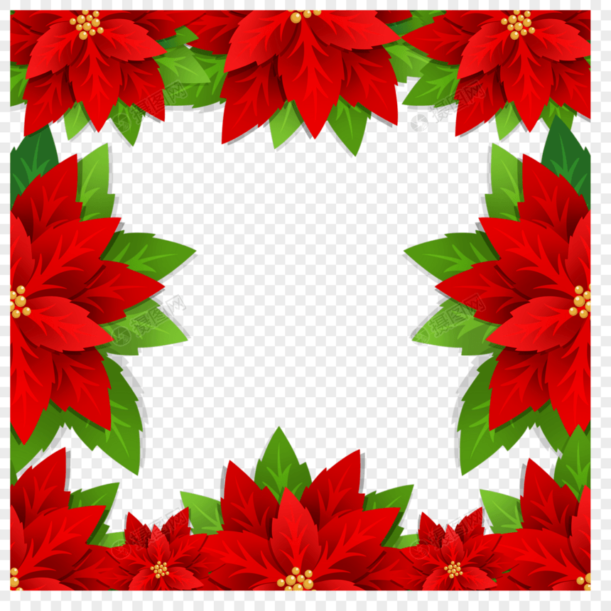 圣诞一品红花卉边框红色植物图片