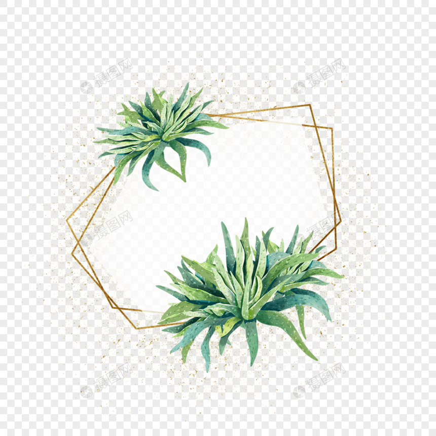 几何水彩植物芦荟边框图片