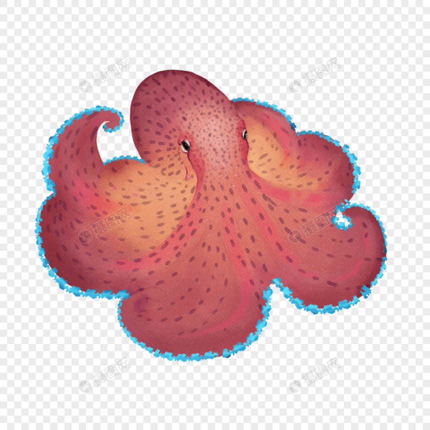 水彩海洋生物红色章鱼图片