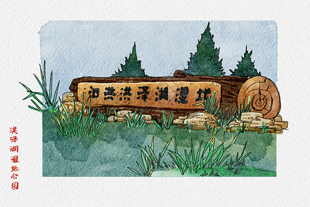 无锡5A风景区洪泽湖湿地公园钢笔淡彩插画背景图片