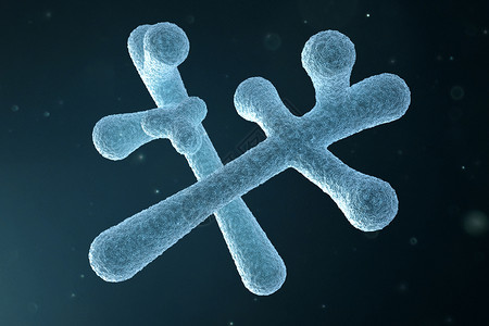三维双歧杆菌模型图片