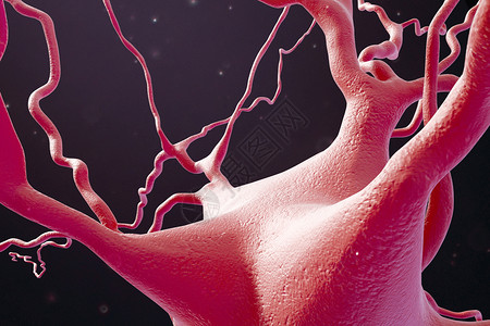 三维神经细胞模型图片