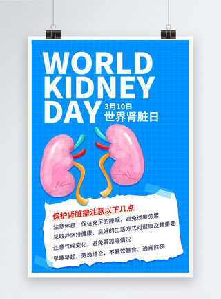 肾脏健康简约世界肾脏日宣传海报模板