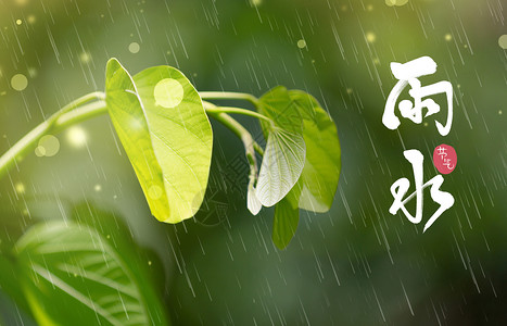 落雨绿色雨水节气设计图片
