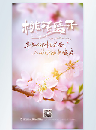 春分时节桃花开三月桃花开摄影图海报模板