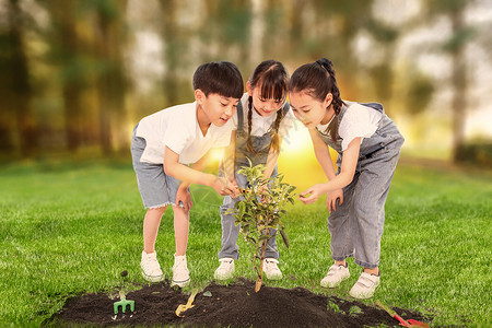 男孩种树为环保植树设计图片