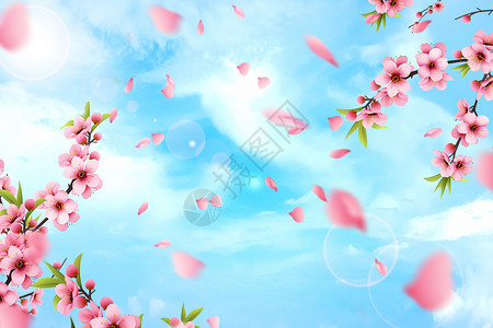 桃树太阳春天桃花背景设计图片