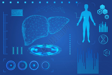 爱你人体素材全国爱肝日科技感肝部矢量插画插画