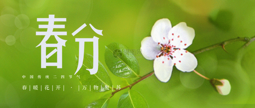 绿色清新春分节气公众号封面gif动图图片