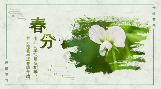 淡雅植物海报绿意春分gif动图高清图片