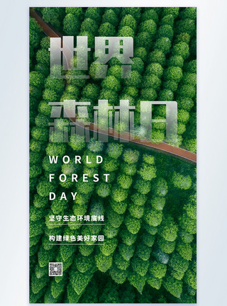 树木摄影世界森林日摄影图海报模板