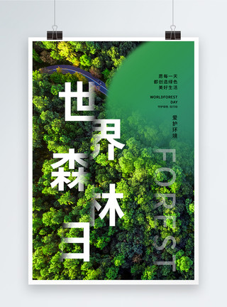 原始的简约时尚大气世界森林日海报模板