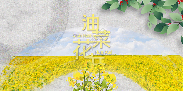 油菜油中国风油菜花开设计图片