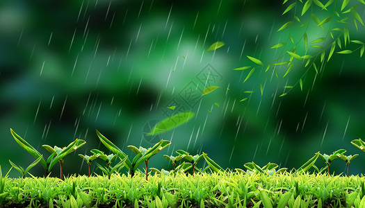 雨水发芽雨中发芽设计图片