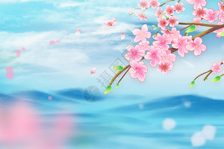 东湖樱花园清新樱花背景设计图片