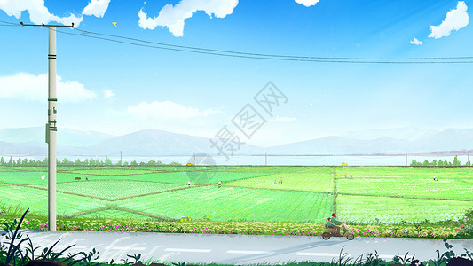 谷雨时节稻田插图背景图片