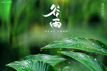 花溪谷简约风谷雨节气海报设计图片