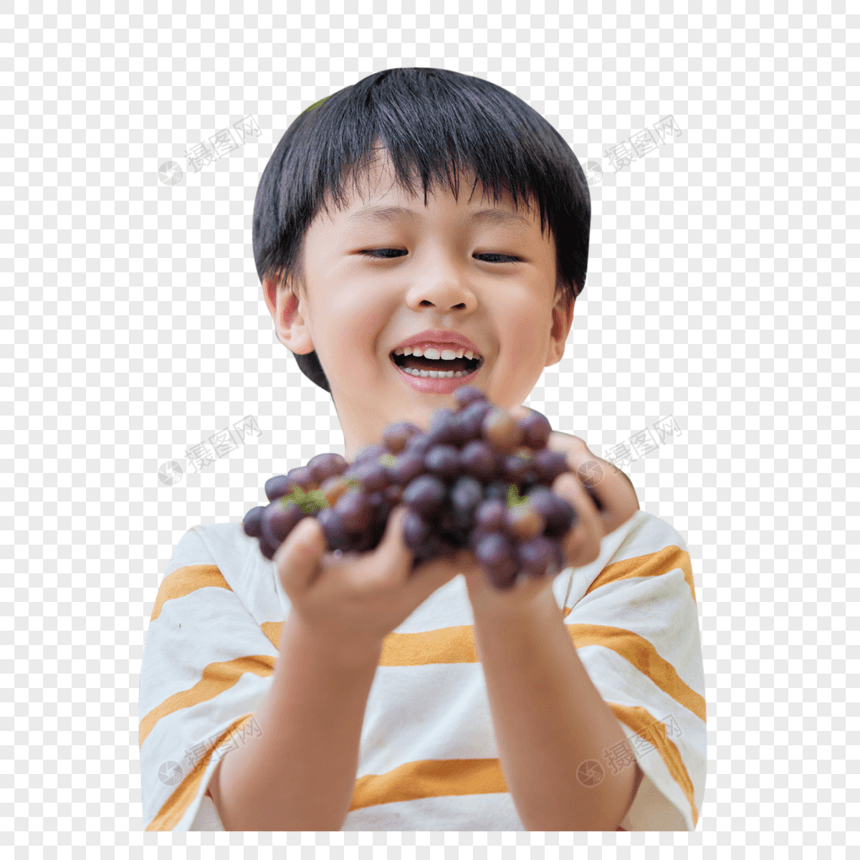 小男孩在采摘葡萄图片