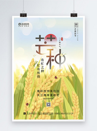 芒种时节水稻插画质感二十四节气之芒种海报模板