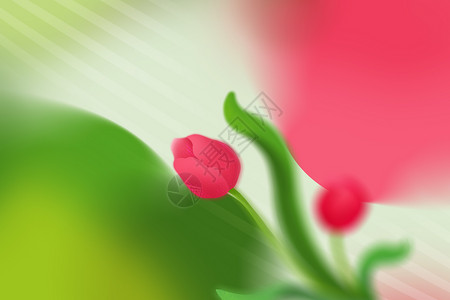 梦幻夏季花卉弥散光背景设计图片