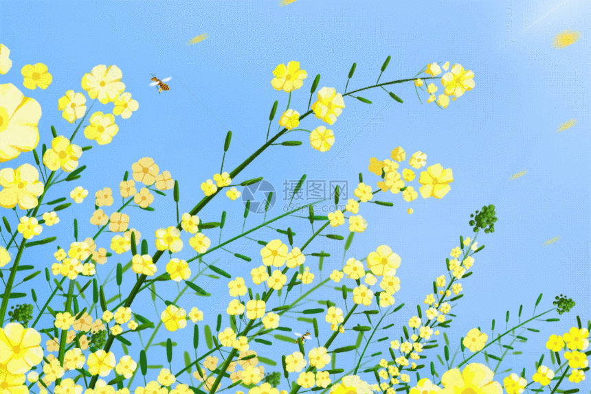 夏日里的花丛gif动图图片