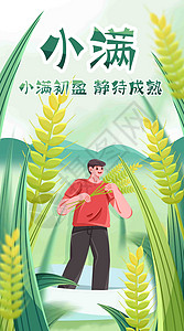 小满种麦子竖屏插画高清图片