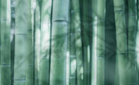 竹纹背景绿色花草纹高清图片