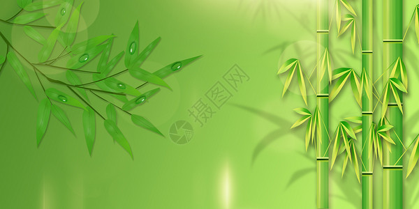 绿色竹子背景背景图片