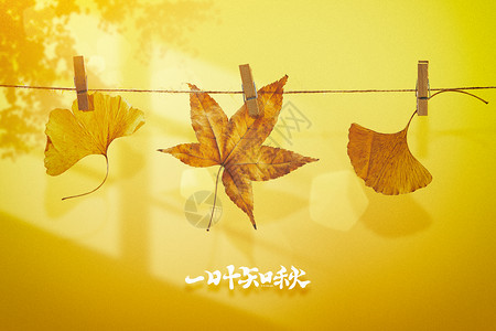 立秋创意黄色枫叶倒影图片