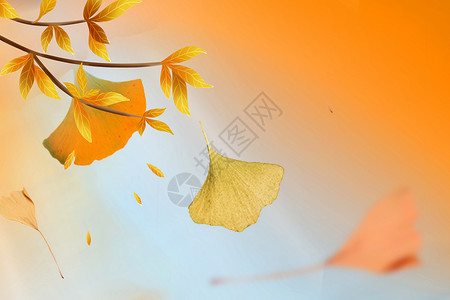 秋意浓排版秋日落叶背景设计图片