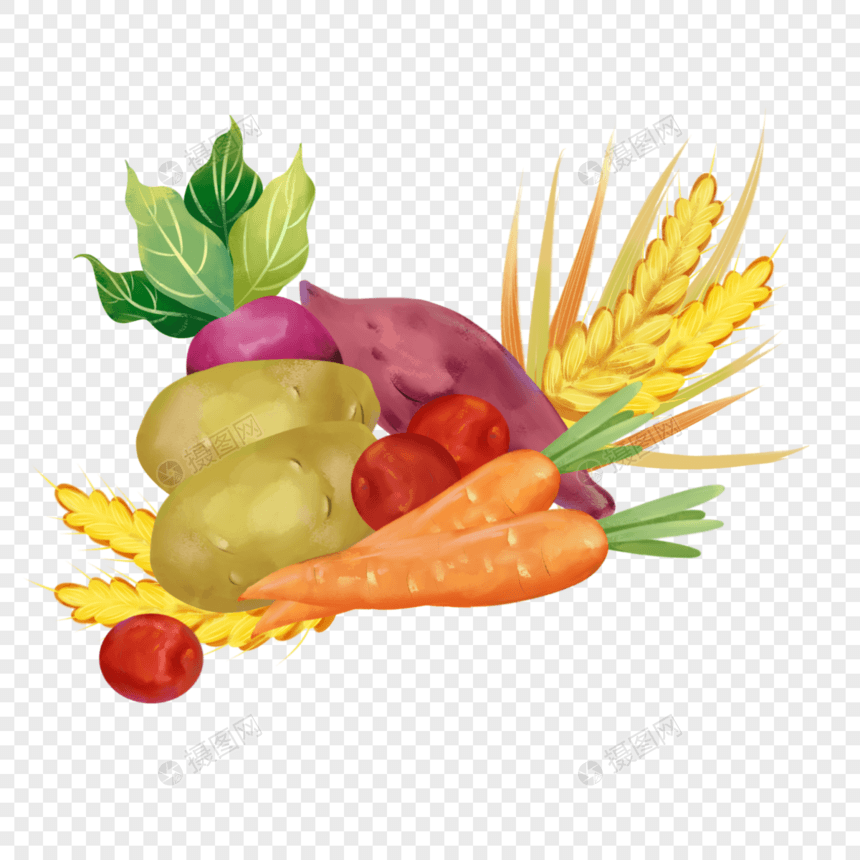 谷物粮食组合胡萝卜土豆红薯图片