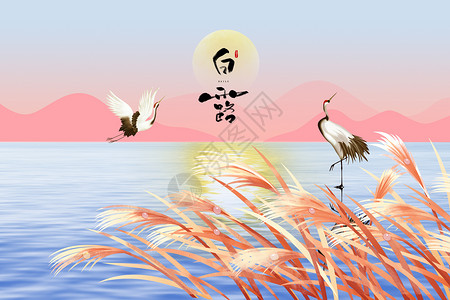 湿地水鸟唯美白露设计图片