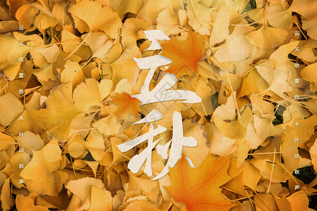 秋季出游字体落叶立秋背景设计图片