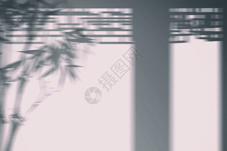 阳光竹子素材建筑竹叶简约光影背景设计图片