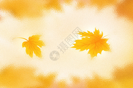 秋天落叶和蕨类唯美玻璃风秋天被设计图片