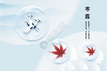 枫叶水滴素材寒露大气水滴飞鹤枫叶设计图片