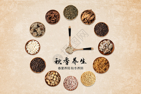 秋季茶饮养生创意时钟秋季养生药材设计图片