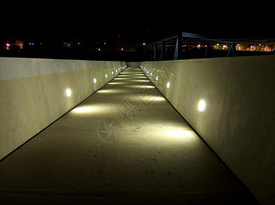 阿威罗大学一座大桥的夜景图片