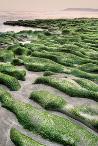 自然抽象的绿色海岸岩石上图片