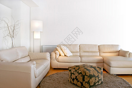 沃齐默明亮的客厅有两张大沙发设计图片