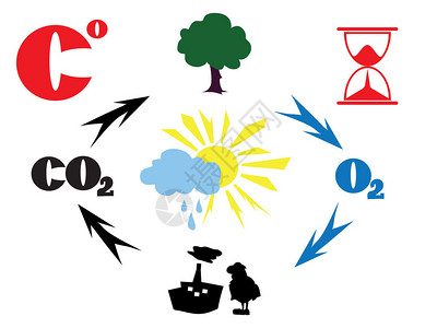 CO2周期图片