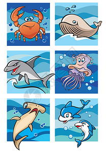 海豚鲸鱼鲨鱼螃蟹和水母在海浪的背景下图片