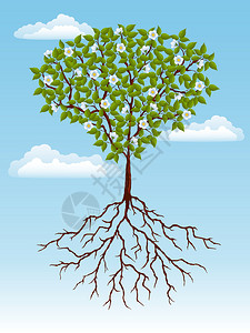 一棵树的抽象背景矢量插图背景图片