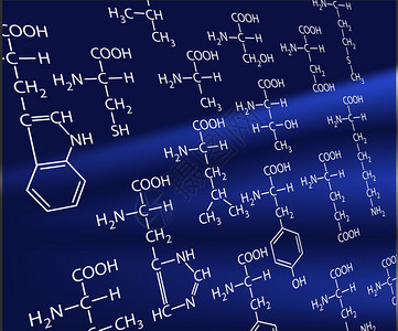 20种氨基酸生命的基础背景图片