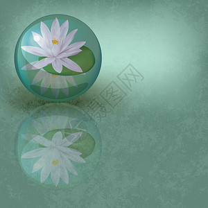 在玻璃球中用莲花以抽象背景图片