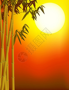 竹树背景背景图片