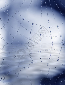 蓝色背景上有水滴的蜘蛛网图片