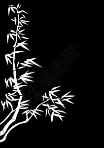 黑色背景上的竹子插图背景图片