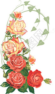 白色背景上五朵红玫瑰的插图图片